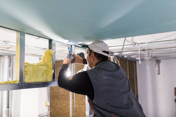 Best Residential Insulation Services  in Mountain Village, CO