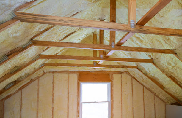 Best Attic Insulation Installation  in Mountain Village, CO