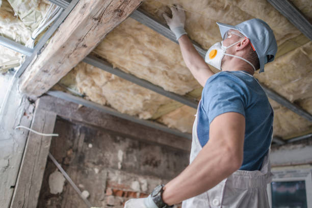 Best Insulation Inspection Services  in Mountain Village, CO