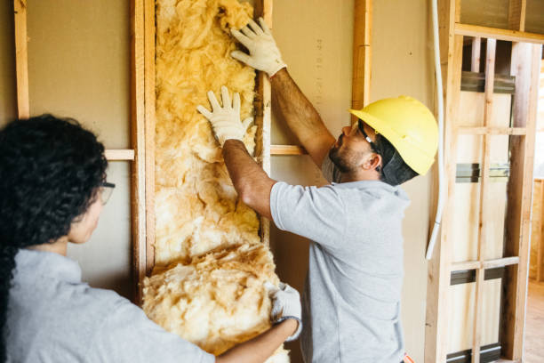 Best Best Insulation Companies  in Mountain Village, CO