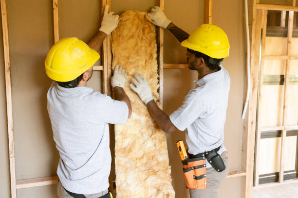 Best Wall Insulation Contractor  in Mountain Village, CO